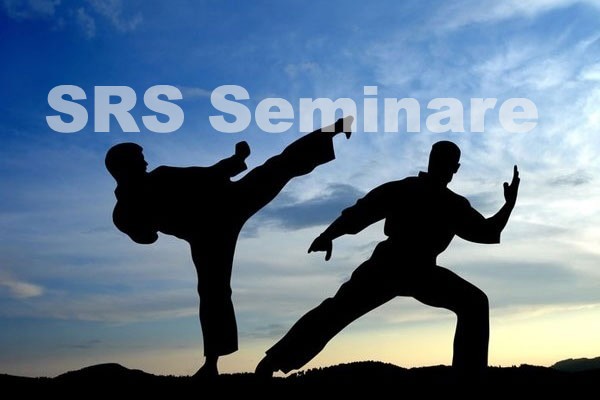 Karate Multiplikatorenausbildung Modul 5