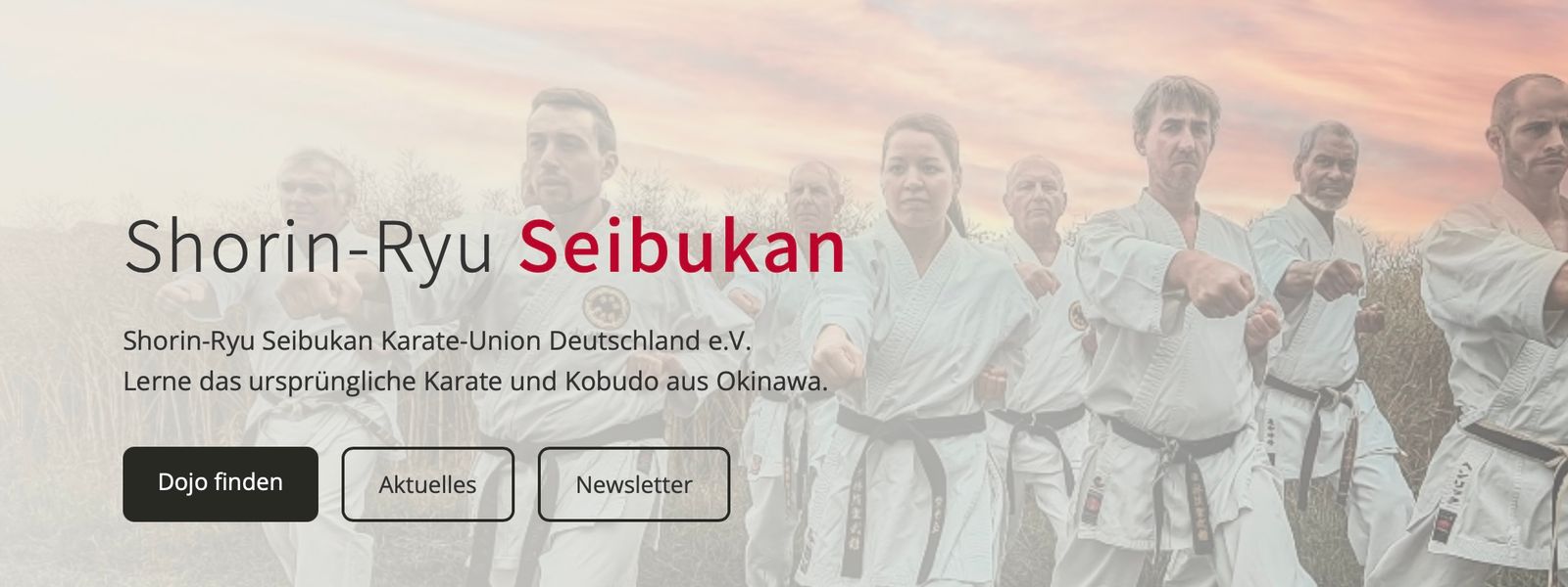 Unsere neue Website ist online!
