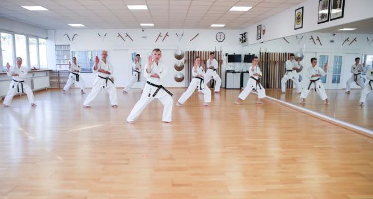 Karatelehrgang für Braun- und Schwarzgurte 2020